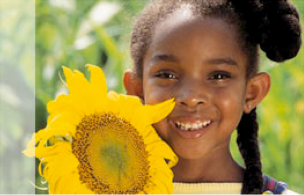 Hermosa Flor /Beautiful&nbsp;Flower