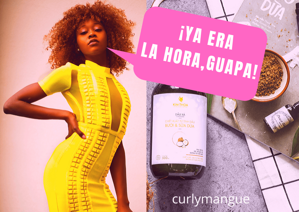 Vuelve a vuestro blog, todo  el contenido afro&nbsp;natural.