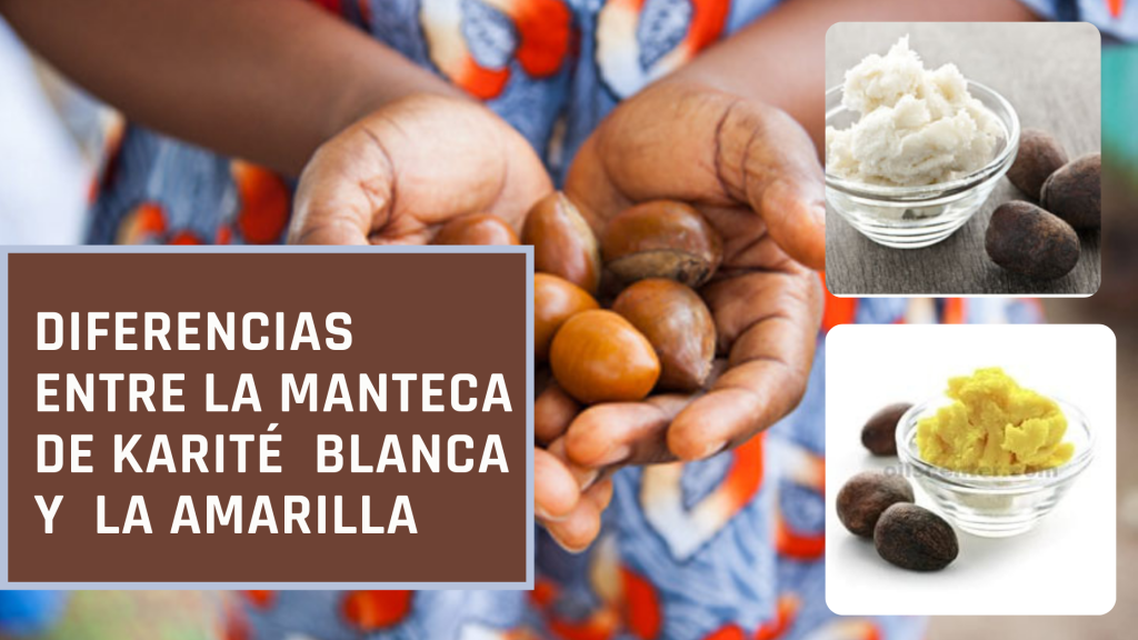 l Borututu | Diferencia entre manteca de karité blanca y amarilla