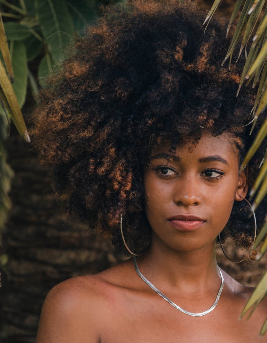 5 consejos, para hidratar un cabello 4c extremadamente&nbsp;seco